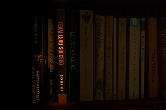 A curated selection of book spines on a library shelf, illustrating the breadth and diversity of collections (Image credit: https://unsplash.com/@jannerboy62)