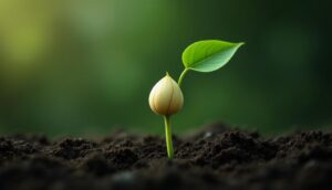 A small plant sprout emerging from rich, dark soil. The background is softly blurred with shades of green, drawing attention to the delicate new leaf and the seed casing still attached to the stem.